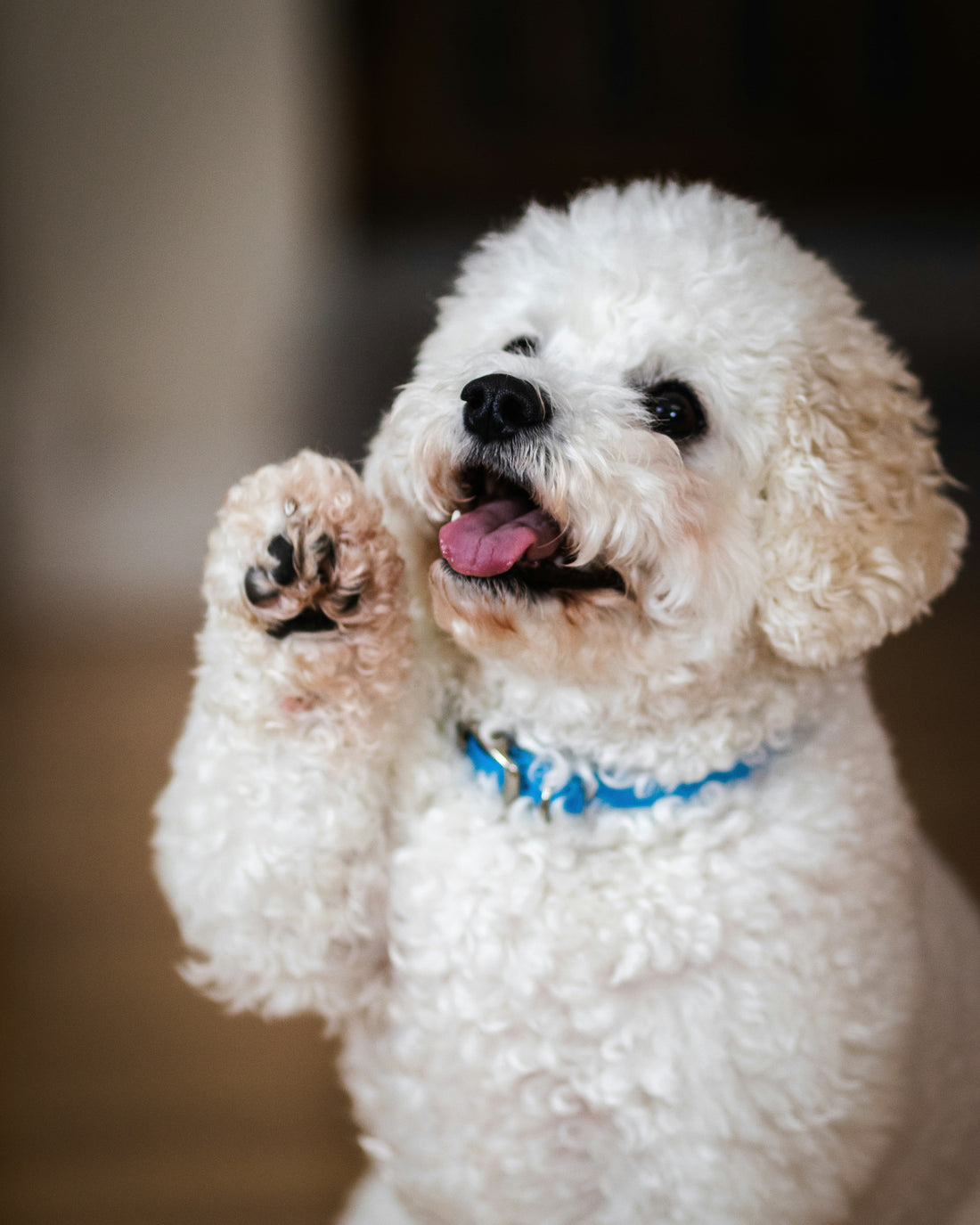Those Little Beans Have a Big Job.