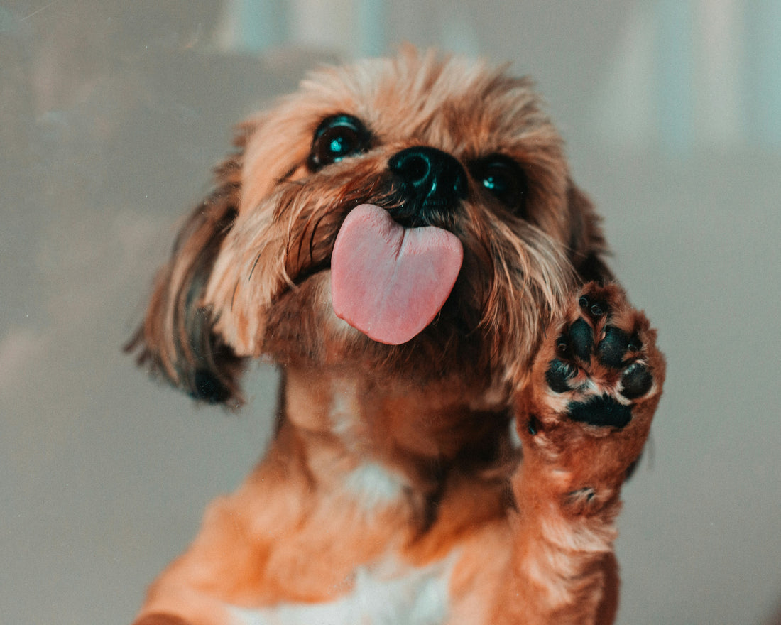 The After-Walk Routine Nobody Talks About.